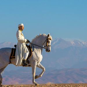 Voyage entreprise incentive Destination Evasion Maroc